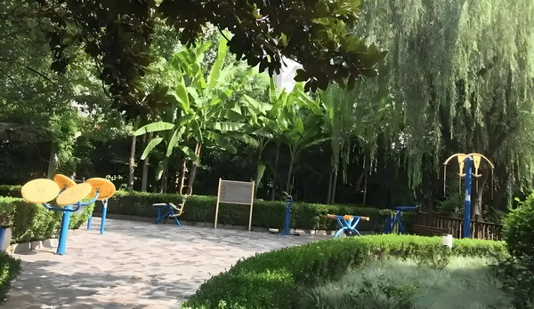 四王一后